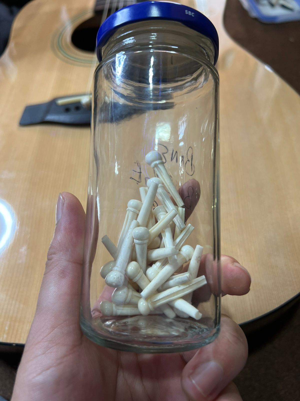 Bone Bridge Pins