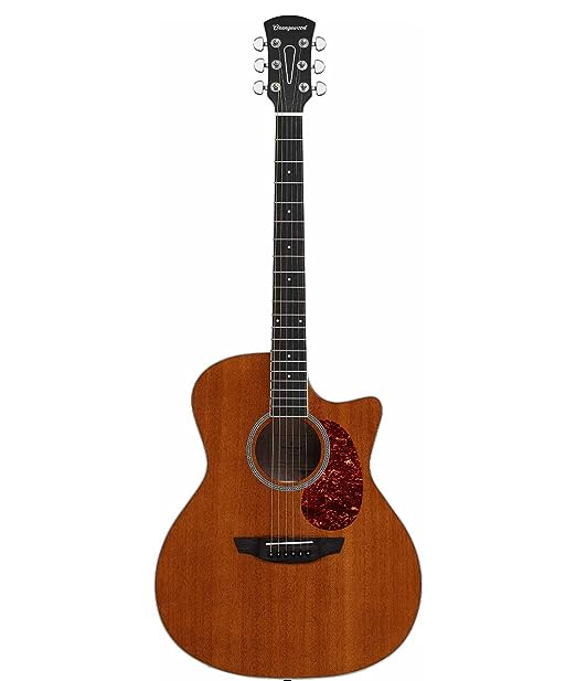 ORANGEWOOD GUITARS Rey-M Grand Auditorium Cutaway Layered Mahogany
