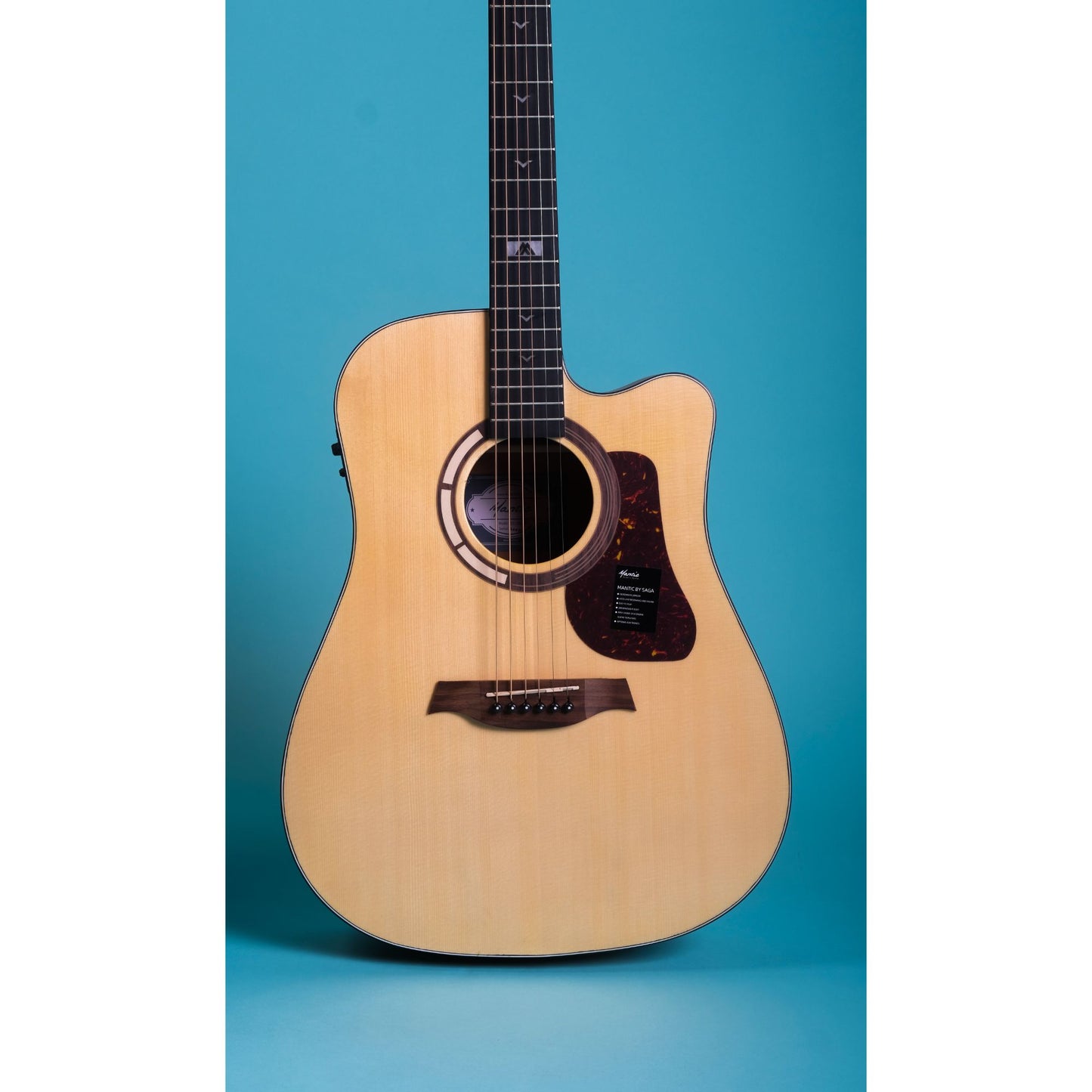 Mantic GT1DC- E Semi- Acoustic Guitar With Fishman Electronics - Natural