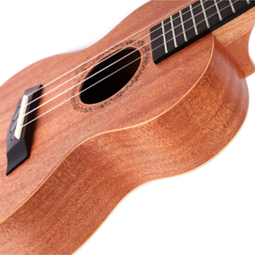 Enya EUC 20 Concert Ukulele - Natural Matt