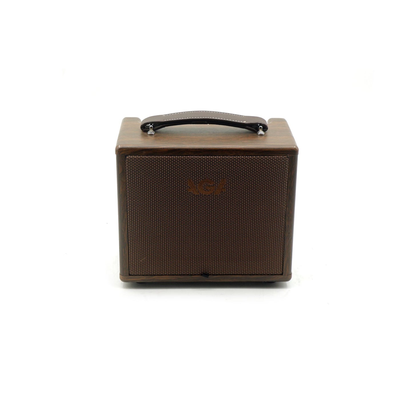 Acoustic Guitar Amp AGA SC-X1.