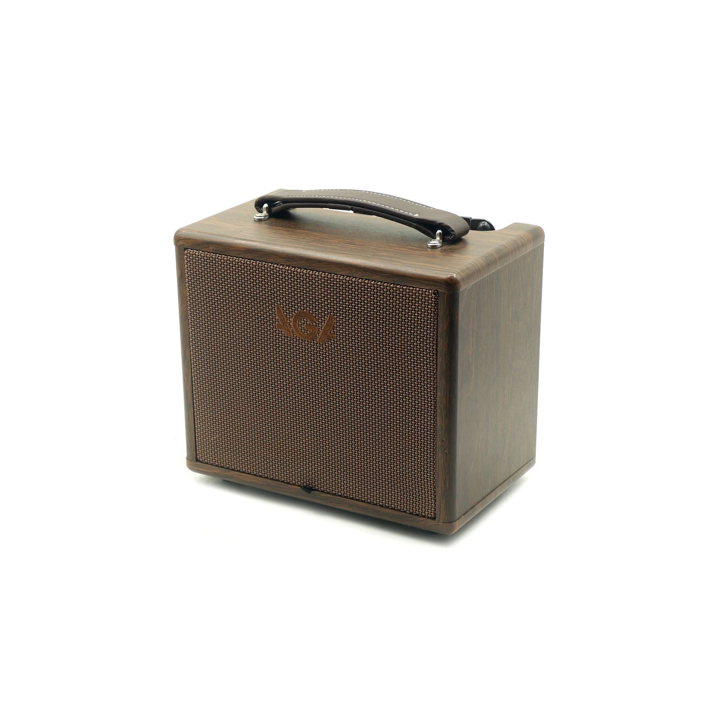 Acoustic Guitar Amp AGA SC-X1.
