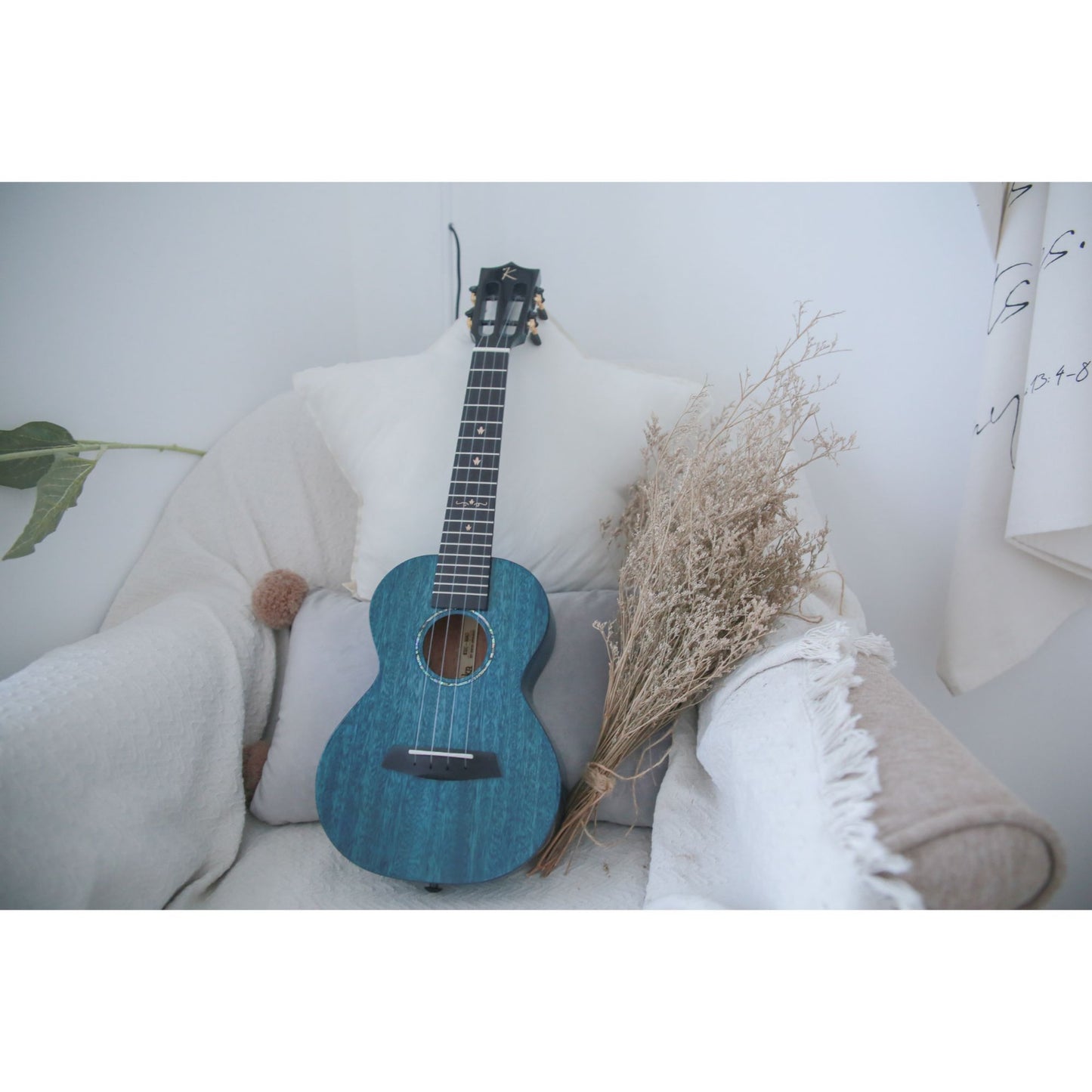 Enya EUC MAD EQ Concert Solid Mahogany Ukulele - Blue