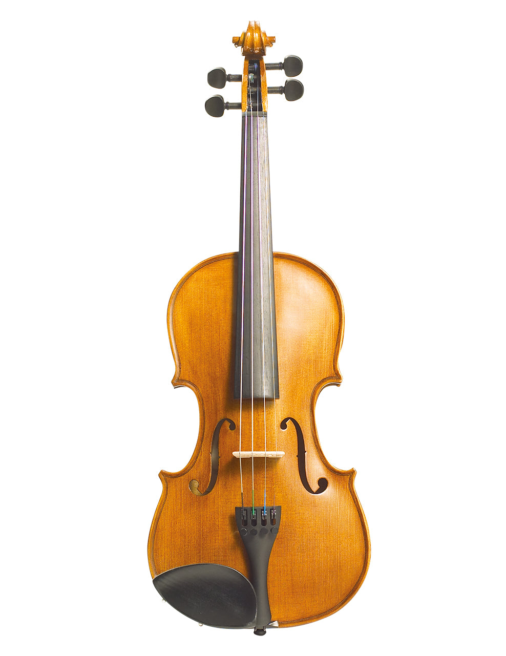 Stentor Violin
