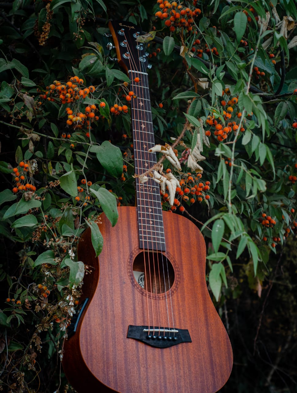 Enya EB-01 EQ Mini Travel Guitar