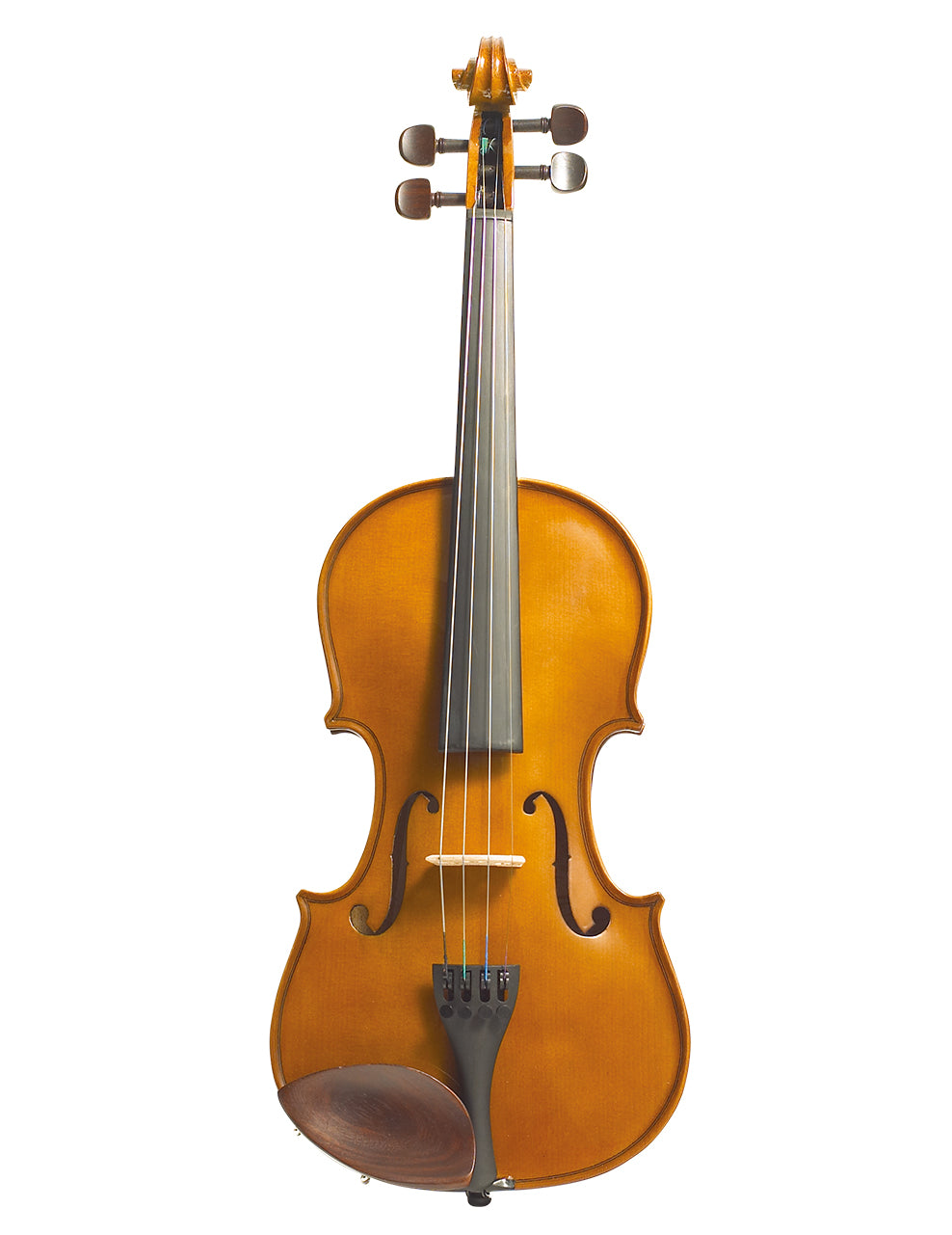 Stentor Violin