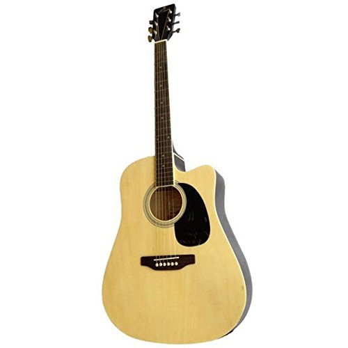 Pluto HW41C-201 Acoustic Guitar