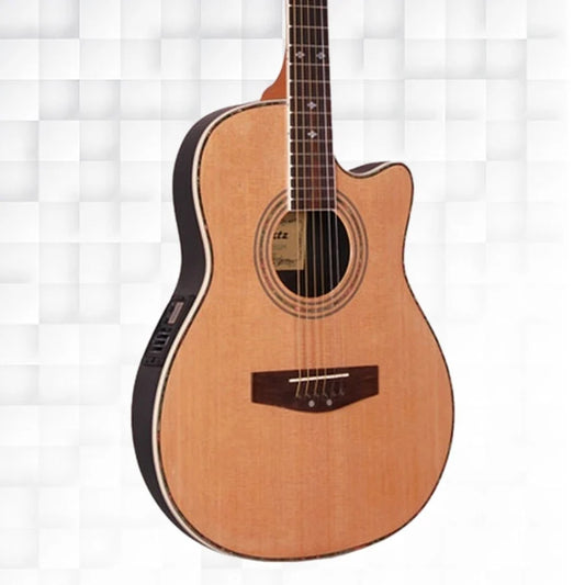 Hertz HZR4002E NA Semi Acoustic Gruitar