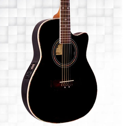 Hertz HZR4002E BK Semi Acoustic Guitar