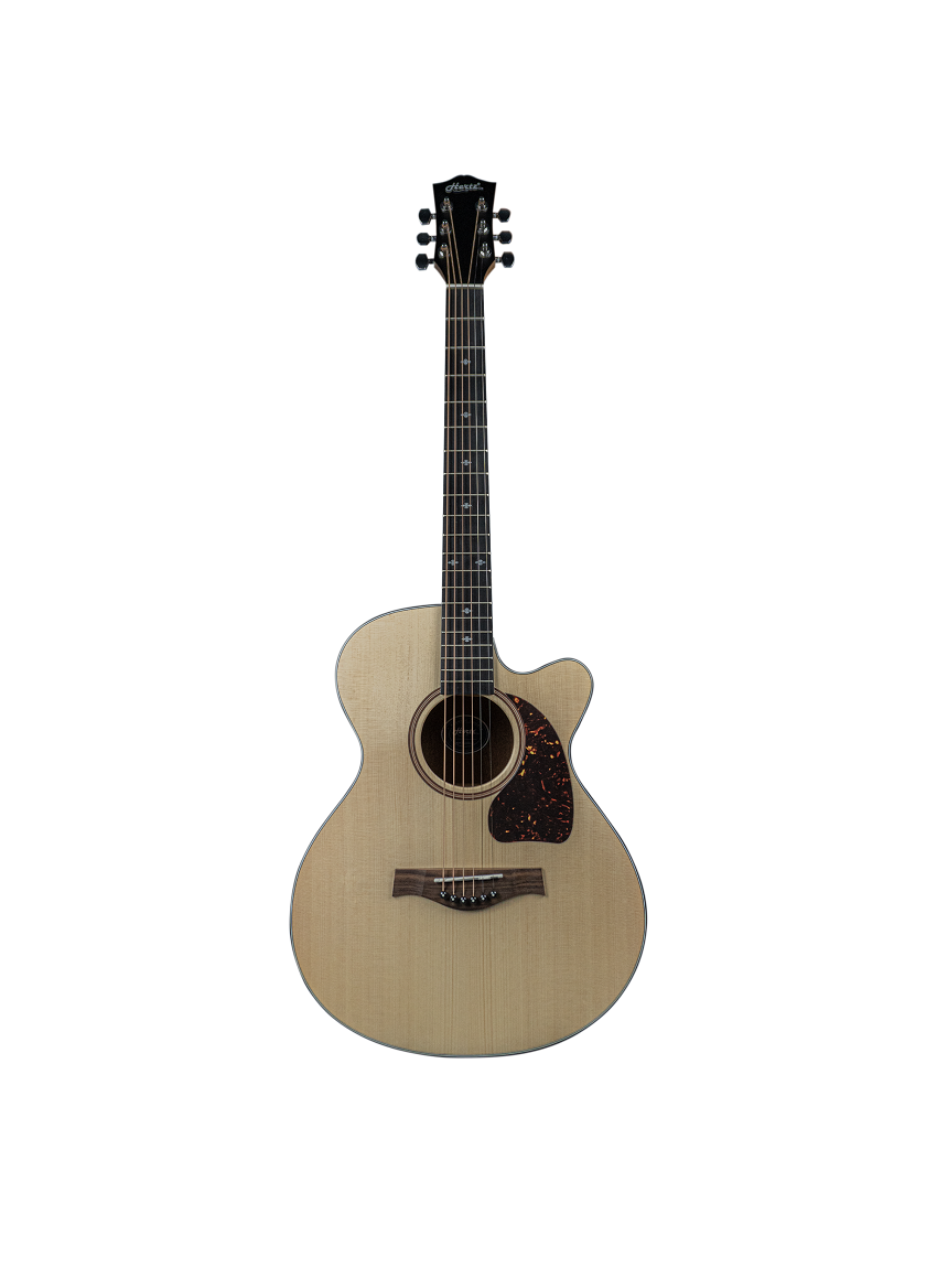 Hertz HZA4040 Acoustic Guitar – Natural