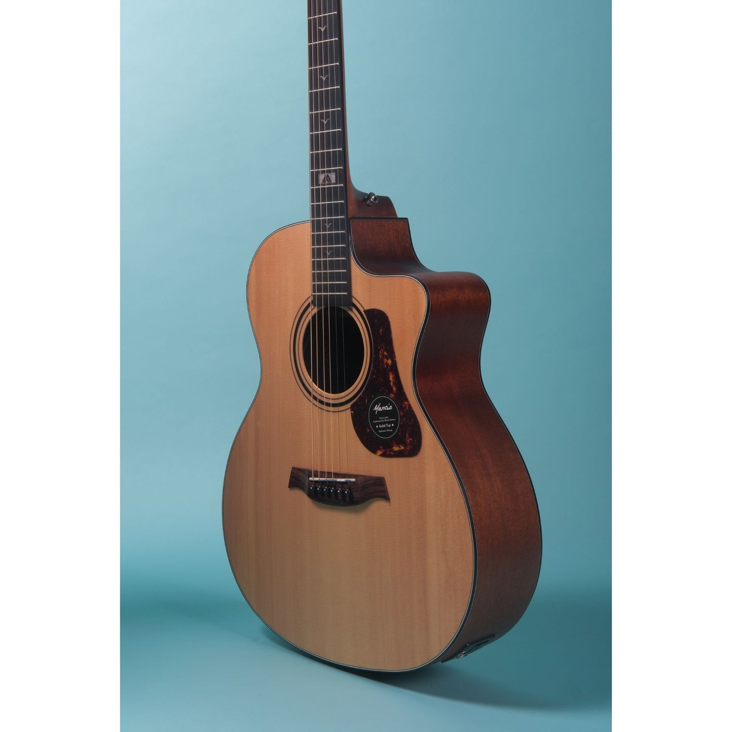 Mantic GT10GC-E Solid Top Semi- Acoustic Guitar with Fishman Electronics - Natural