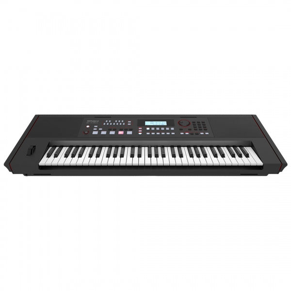 Roland E-X50 61-Keys Arranger Keyboard