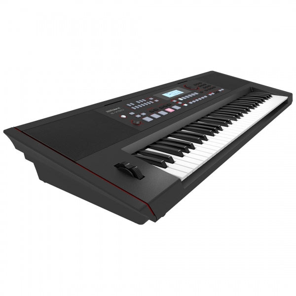 Roland E-X50 61-Keys Arranger Keyboard