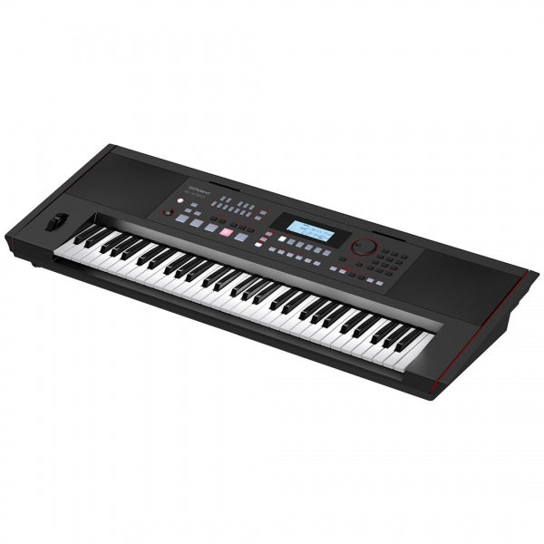 Roland E-X50 61-Keys Arranger Keyboard