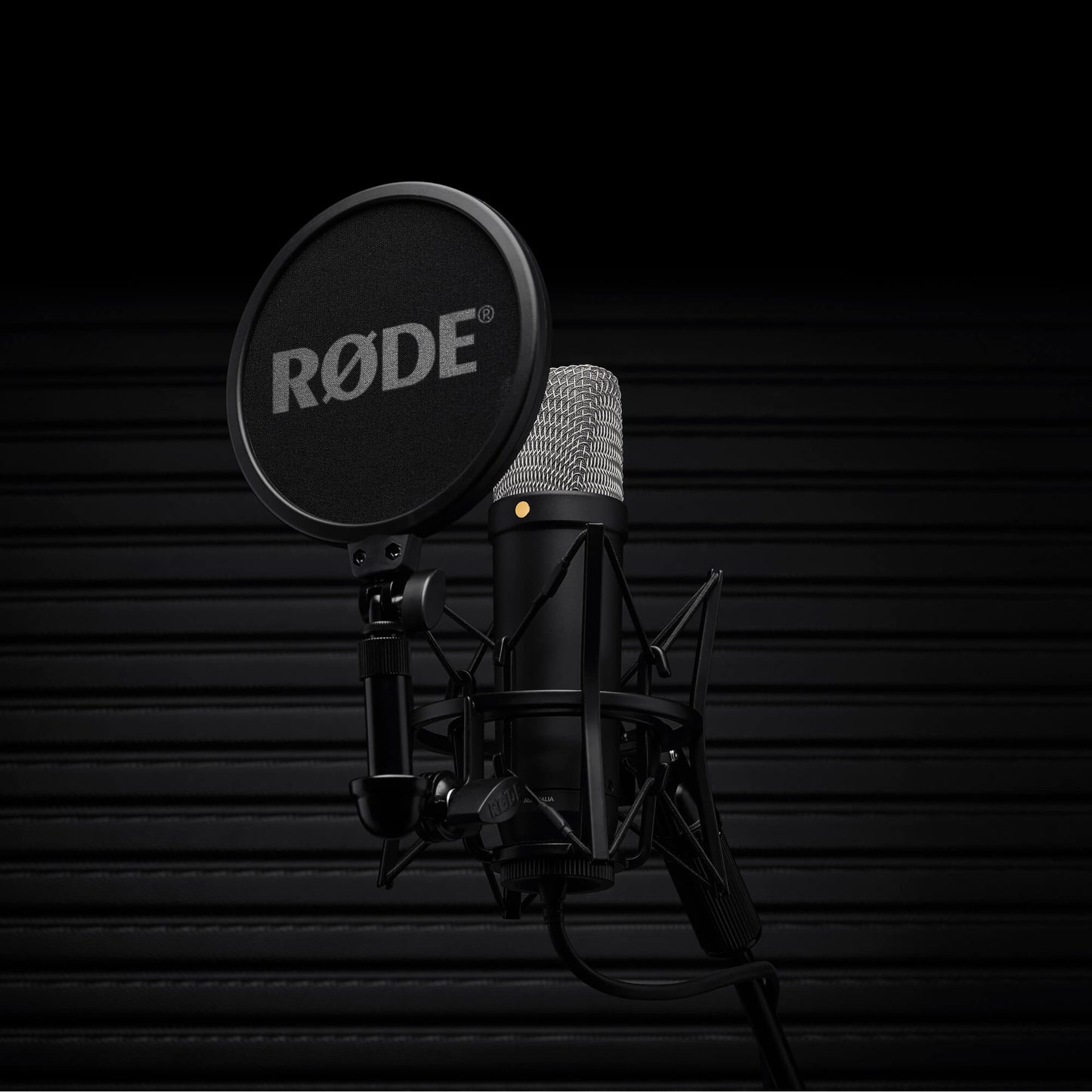 NT1 5th Generation Studio Condenser Microphone