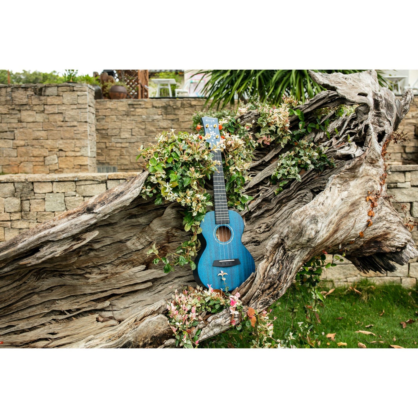 Enya EUC MS EQ BLUE All Solid Mahogany