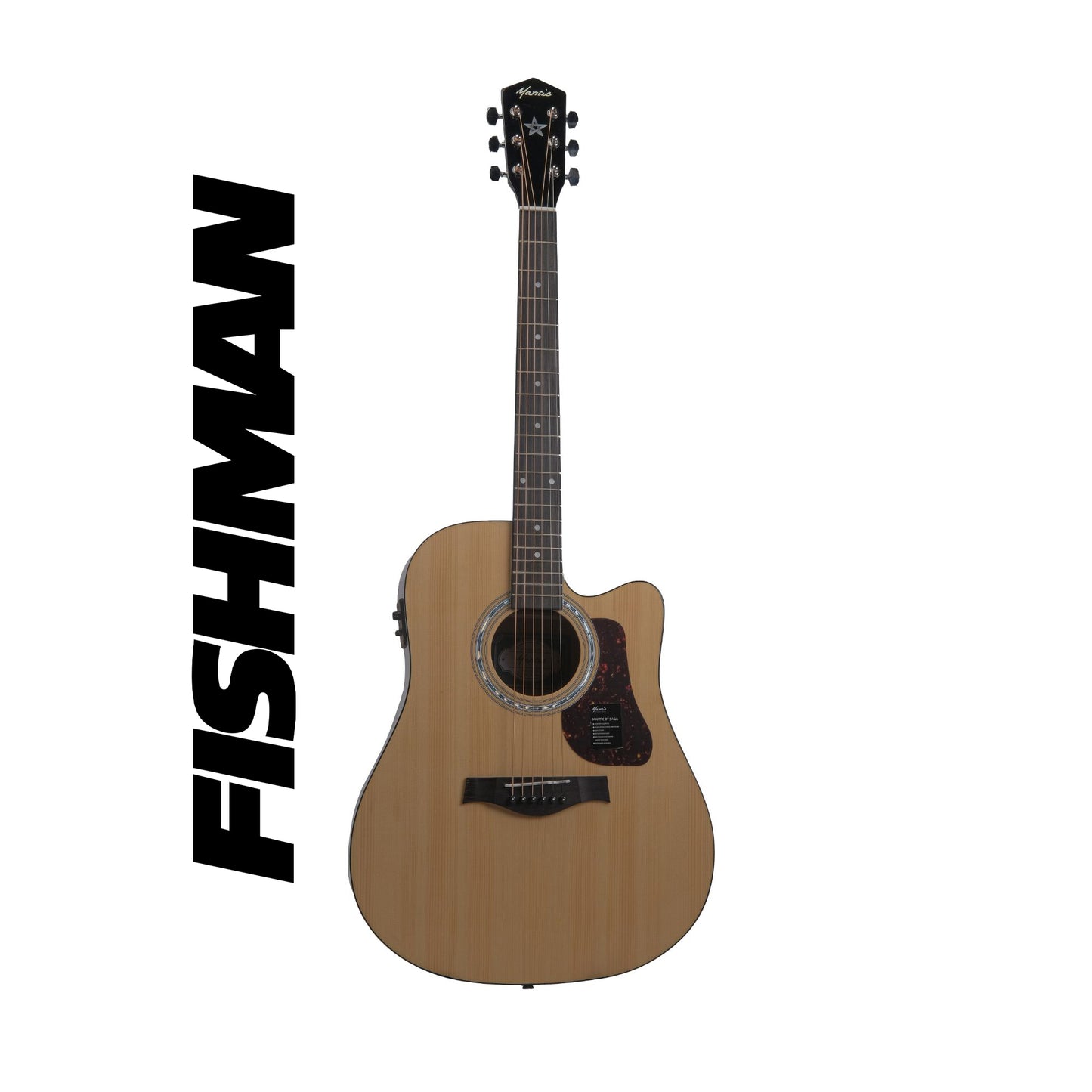 Mantic X310CE Semi-Acoustic with Fishman Electronics - Natural