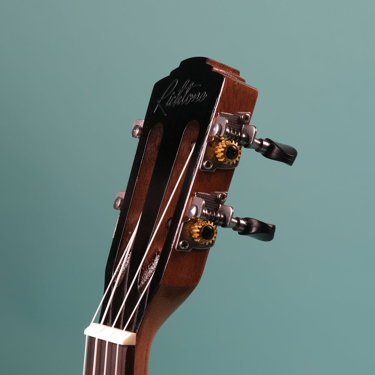 Richtone RT24 RS - Rosewood Concert