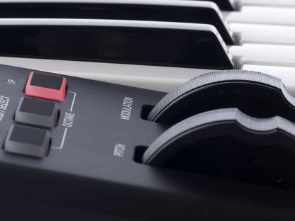 Alesis Q49 USB Midi Keyboard Controller